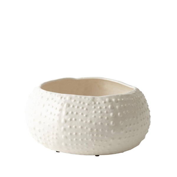 Global Views Ceramic Farmhouse Decorative Bowl in White & Reviews Wayfair